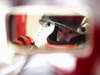 GP BRASILE - Prove Libere